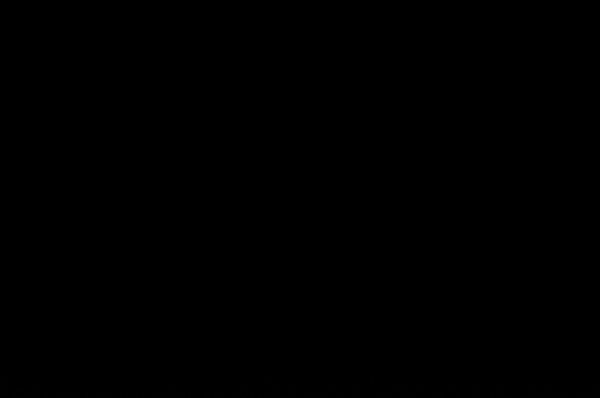 iso800 NR on.JPG