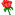 rose-icon.png