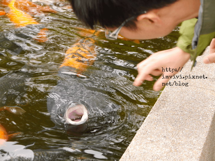 P2030943.png