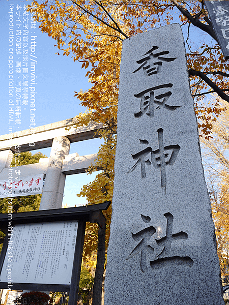 P1970012.png