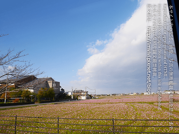 P1160934.png