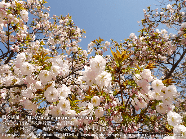 P2380148.png
