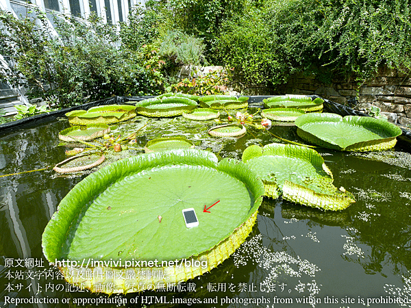 P1470581.png
