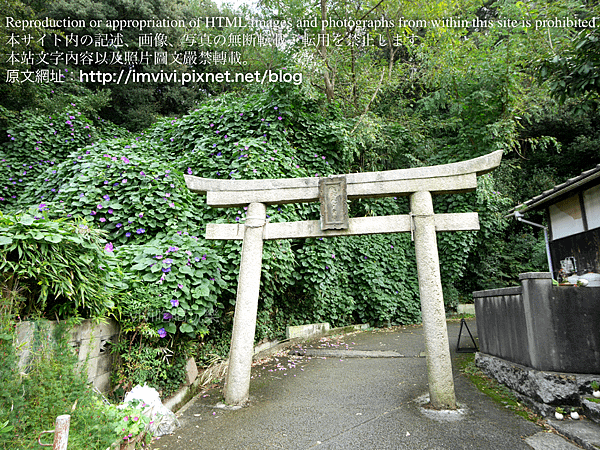 P1540958.png