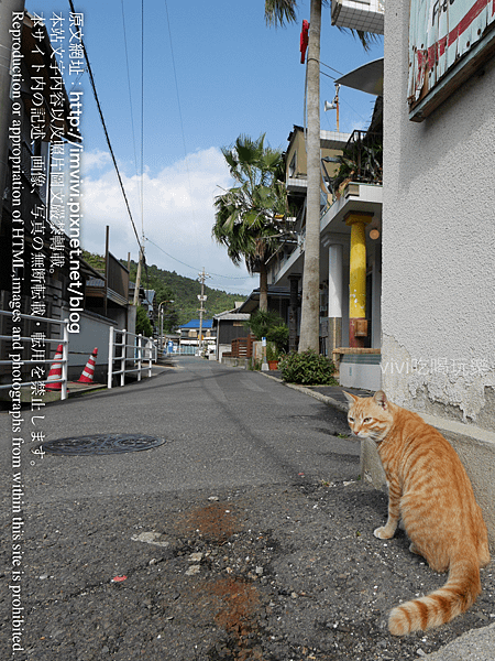 P1540880.png