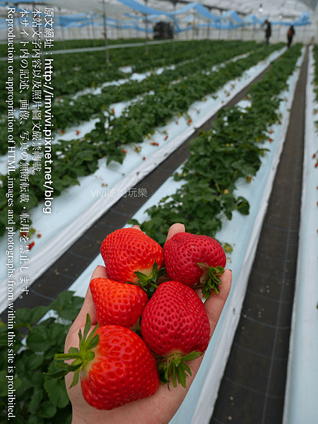 P1670833.png