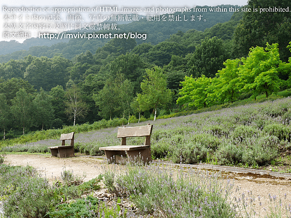 P1850147.png