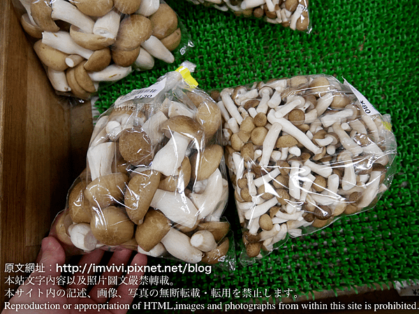 P2020239.png