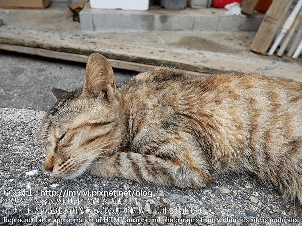 P2140474.png