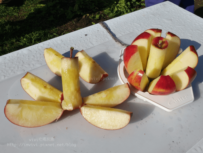 batch_P2330076.png