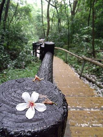 DSCF7033.jpg