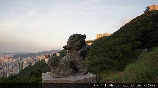 太平山夜景DSC06262.JPG