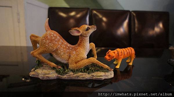deardeerDSC08086