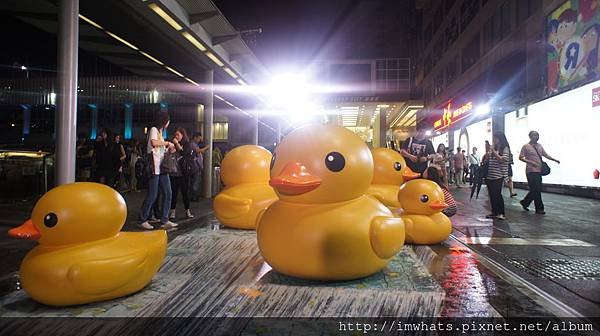 海港城rubber duckDSC09761.JPG