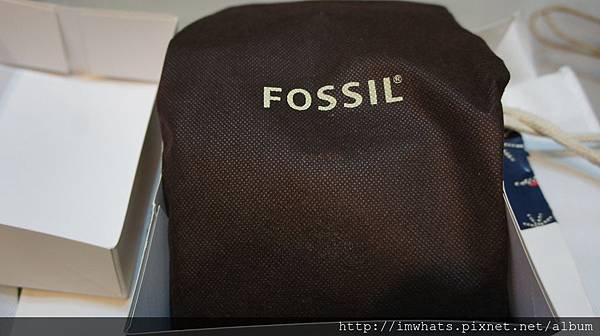 fossilDSC01196.JPG