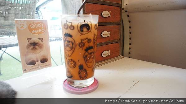 caturday cat cafe泰式奶茶.JPG