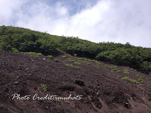 富士山IMG_6370.JPG