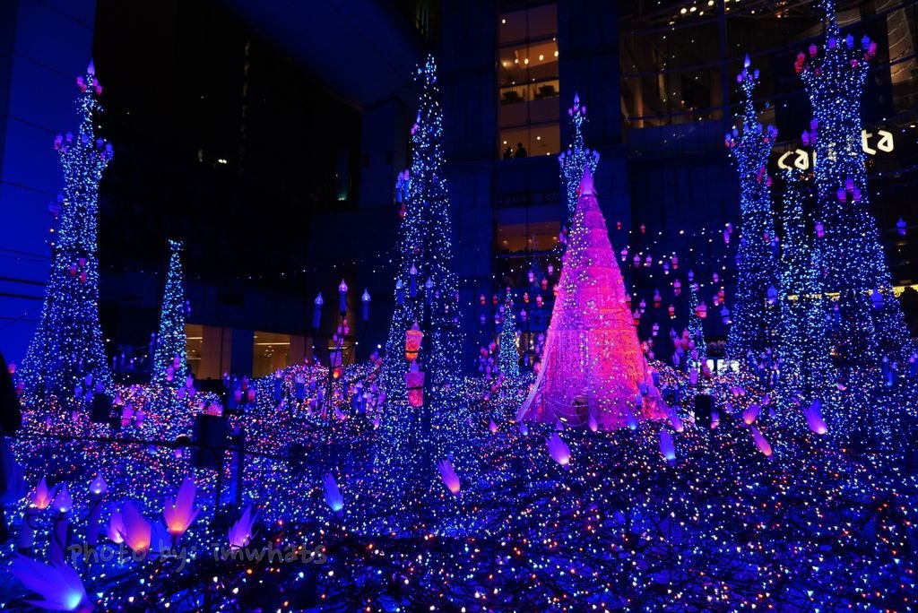 DSC07372.JPG