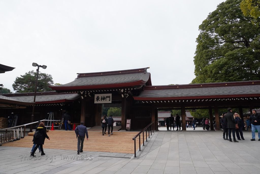 DSC07301.JPG