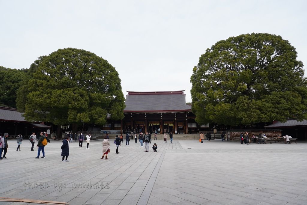 DSC07308.JPG