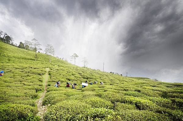 Sikkim-2