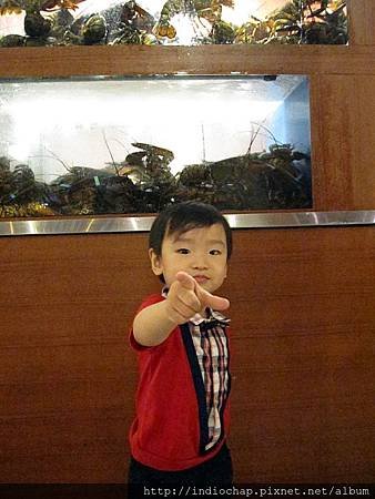 IMG_0090.JPG