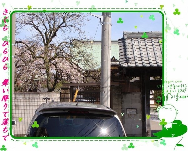 DSC04660.JPG