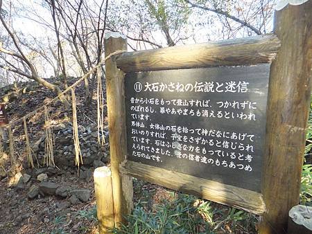 DSCF8260.JPG