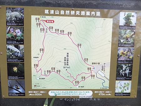 DSCF8262.JPG
