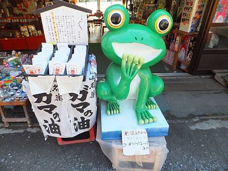 DSCF8223.JPG