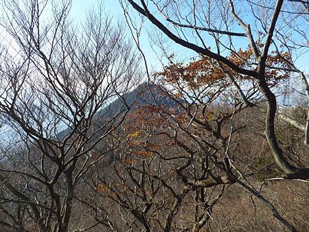 DSCF8274.JPG