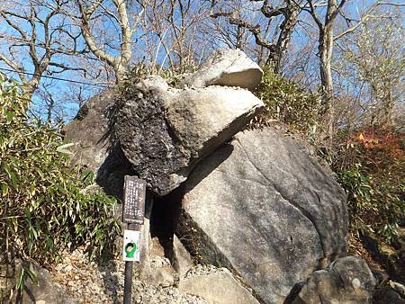 DSCF8272.JPG