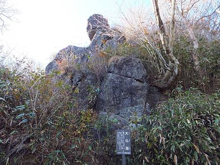 DSCF8297.JPG