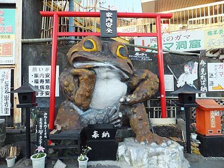 DSCF8325.JPG