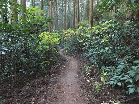 DSCF8327.JPG