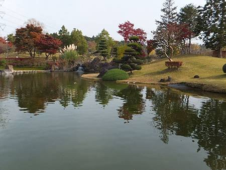DSCF8451.JPG