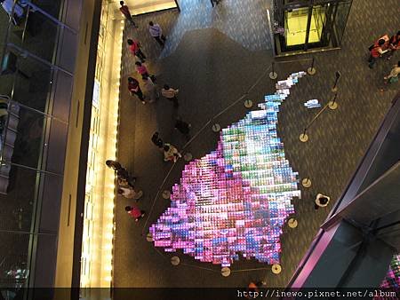 IMG_5675.JPG