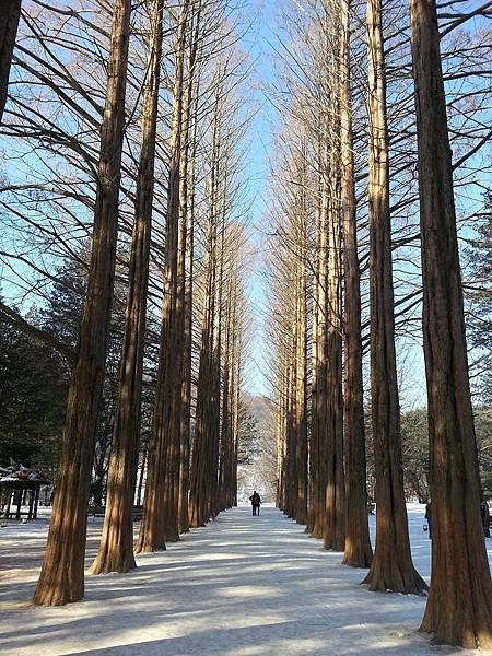 20141226_101934.jpg