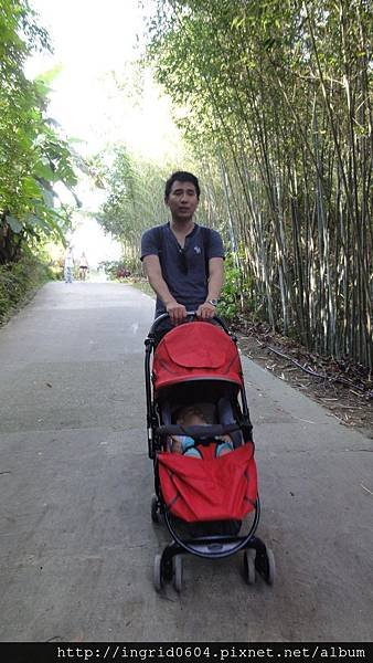 DSC05516