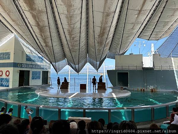 菲律賓克拉克親子自由行 Day2 包車去蘇比克野生動物園Zo