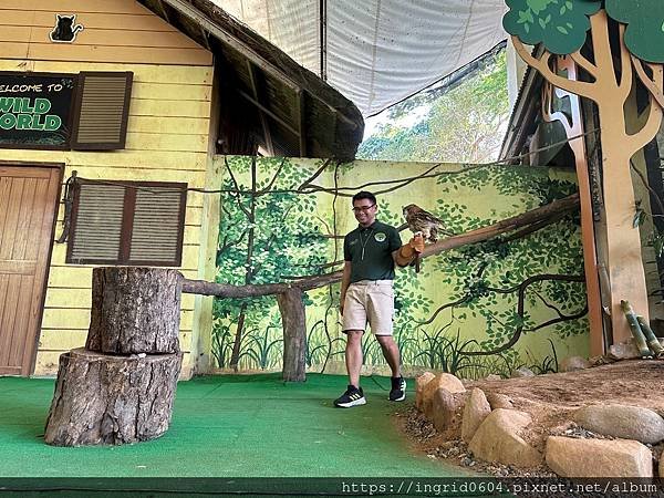 菲律賓克拉克親子自由行 Day2 包車去蘇比克野生動物園Zo