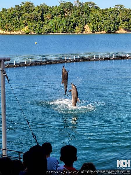 菲律賓克拉克親子自由行 Day2 包車去蘇比克野生動物園Zo