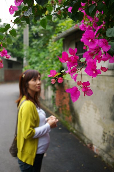 IMGP7803.JPG