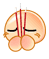204.gif