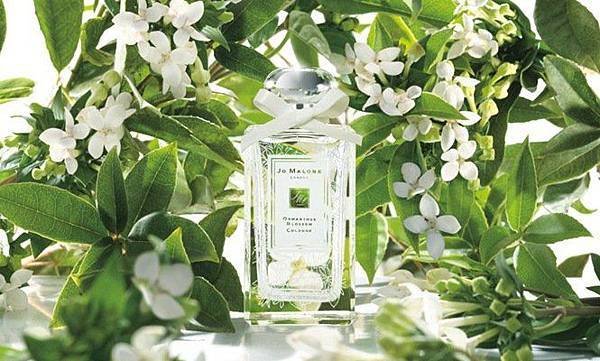 Jo-Malone-Osmanthus-Blossom_new_celeb_img_665_400_bg.jpg