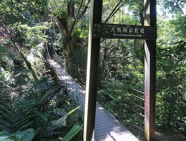 豐Food&amp;大板根森林溫泉