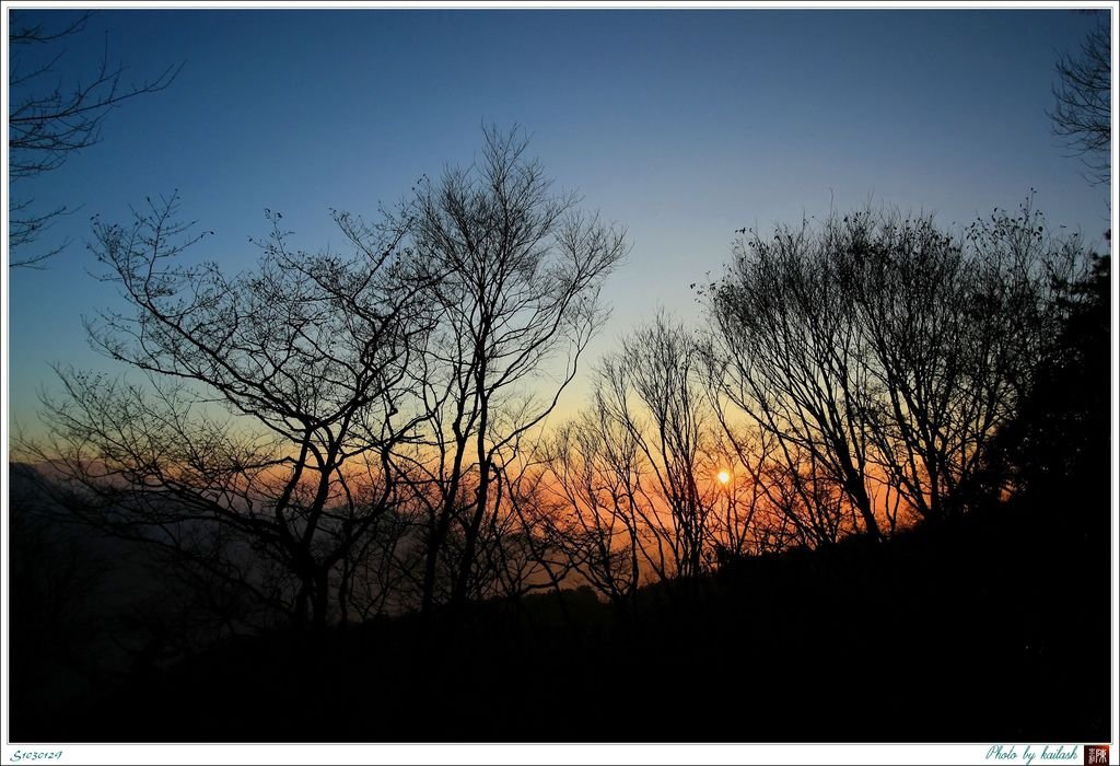 S1030129懸掛枝椏的落日【能高越嶺古道】.jpg