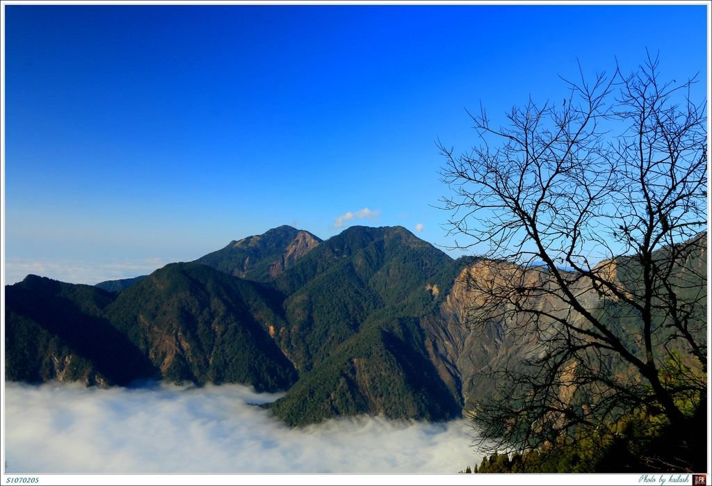 S1070205斜暉照映的雲海【郡大山】