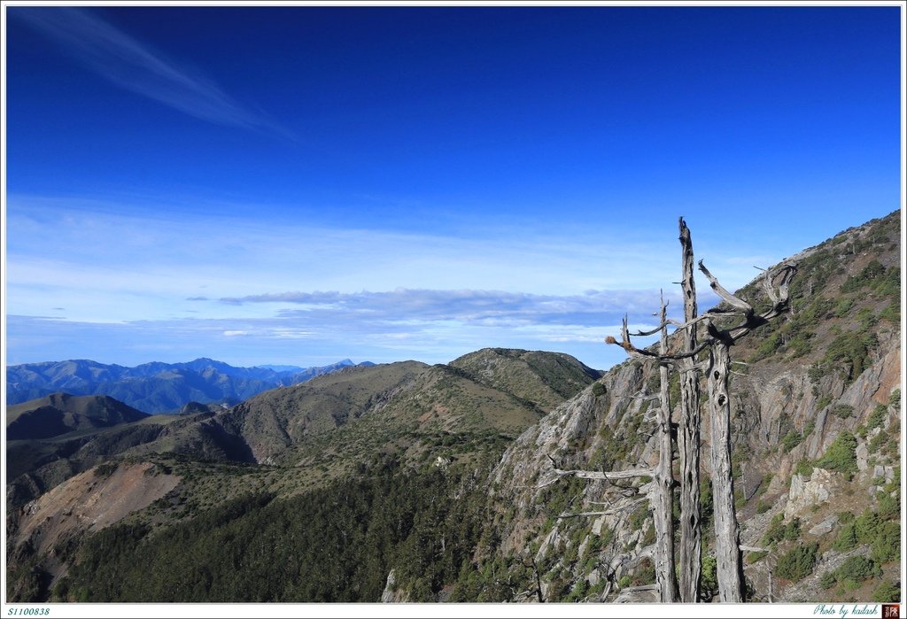 S1100838傲然兀立的枯木【秀姑巒山】.jpg