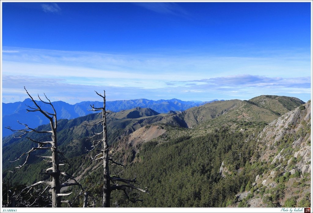 S1100841傲然兀立的枯木【秀姑巒山】.jpg